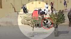 VIDEO: Desivý incident v Indii. Slonica chobotom schmatla ruskú turistku a začala s ňou točiť okolo seba