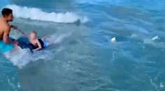 VIDEO: K chlapcovi sa hrozivo blížil žralok. Zachránil ho policajt v civile