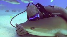 Mnohí sa ich k smrti boja, ona s nimi bežne pláva. Sexi žraločia žena