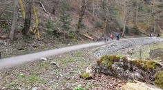 Chlapec (8) spadol počas jazdy na bicykli do Dunajca. Z vody ho vytiahli rodičia, zasahovali aj záchranári