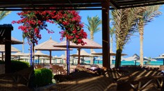 Zdesení dovolenkári v Egypte. Luxusný hotel ubytoval aj 150 členov Hamasu