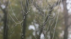 Cez víkend sa zmení počasie. Babie leto skončí