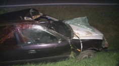 Po zrážke s jeleňom sa z vraku auta vyslobodil cez rozbité sklo