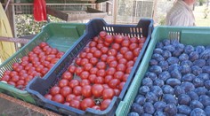 Zeleninu, ovocie či kvety ponúkajú pred domom. Augustové nákupy majú svoje čaro