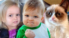 Legendárne postavičky z meme obrázkov: Pozrite si, ako vyzerajú dnes