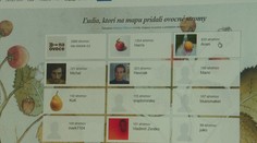 Slovák vytvoril projekt, aký tu ešte nebol