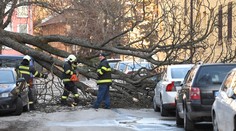 Varovanie SHMÚ: Výstrahy pred silným vetrom platili v pondelok pre celé Slovensko