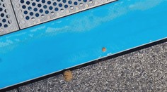 V bazéne na nitrianskom kúpalisku plávali okrem detí aj exkrementy