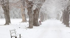 Polárny vír sa zrúti oveľa skôr, stane sa tak len štvrtýkrát za 70 rokov. Ovplyvní to Slovensko