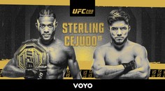Šampión bantamovej váhy sa nemení. Sterling prevýšil svojho skúsenejšieho súpera. Čaká ho nový vyzývateľ
