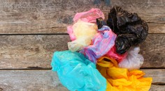 Koniec igelitkám! Minister Sólymos ich chce úplne vytlačiť zo Slovenska