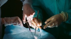 Práca v Mexiku sa zmenila na horor. Poliakom nelegálne odobrali orgány