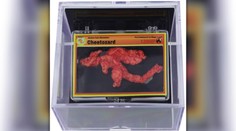 Chrumka v tvare Pokémona sa predala za takmer 90-tisíc dolárov. Dostala názov Cheetozard