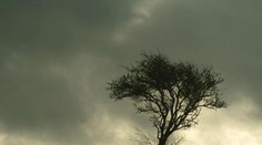 Pre silný vietor na horách vydali výstrahu 2. stupňa