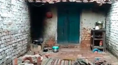 Tragédia v Indii: Na dom zaútočila svorka opíc, zahynula matka a jej štyri deti