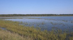 Polia sa premenili na jazerá. Desiatky hektárov pôdy sú pre prívalové dažde stále pod vodou