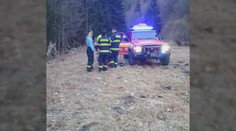 Postavil sa medveďovi, aby chránil otca. Syn nám opísal chvíle hrôzy, šelmu odohnala jedna vec