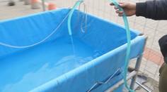 Parkoviská a trhoviská sa plnia bazénmi s rybami. Predajcovia musia dodržiavať viaceré pravidlá