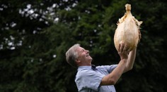 Nový svetový rekord. Angličan vypestoval 9-kilovú cibuľu