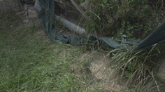 Súrodenci z Pribety našli na dvore mŕtveho jazvečíka. Rodina viní problémového suseda