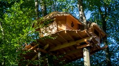 FOTO: V Bratislave otvorili ubytovanie na strome