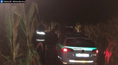 Naháňačka pri Nitre: Šialenú jazdu vodiča zastavili až výstrely, predtým stihol vymeniť značky