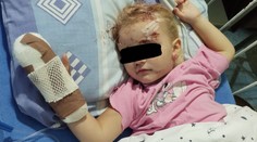 Otec detí, ktoré spolu s matkou zrazil opitý šofér: Sedel oproti mne a tváril sa, že sa nič nedeje