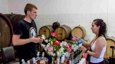 Vinári čelia pre krízu nezvyčajnému problému. Víno nemajú pomaly v čom skladovať