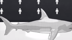 Ktorý tvor zabije najviac ľudí ročne? Budete veľmi prekvapení