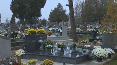 Boja sa, že im stromy spadnú na hroby. Výrub však úrad nepovolil