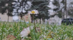 Na väčšine Slovenska akoby zima ani nebola. Môže to mať však následky