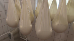 Syra bude na sviatočnom stole pomenej. Tu je dôvod