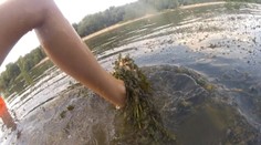 Môžete sa pre ne aj utopiť. Takto sa dostanete z nepríjemných rias