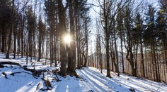 POČASIE: Pred nami je opäť pekný a slnečný deň. Niekde sa však dlhšie udrží hmla či nízka oblačnosť