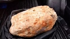 Muž našiel obrovské množstvo veľrybích exkrementov. Vďaka tomu možno zarobí milióny