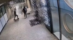 VIDEO: Skúšali to tehlou aj sekerou. Prevádzku v Bratislave nevykradli, no takmer si sami ublížili