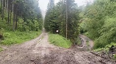Útok medveďa na Liptove. Záchranári majú veľký problém dostať sa k zranenému