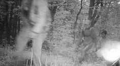 Na východe Slovenska zastrelili prevádzača