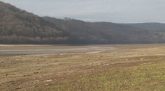 Lesy sú vyprahnuté, pôda sa mení na prach. Slovensko čelí suchám ako počas najväčších letných horúčav