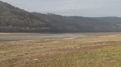 Lesy sú vyprahnuté, pôda sa mení na prach. Slovensko čelí suchám ako počas najväčších letných horúčav