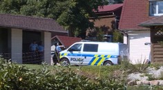 Zatiaľ, čo chlapec sledoval rozprávky, jeho otec s nožom naháňal babku s mamou