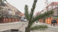 V niektorých krajských mestách vianočné trhy nebudú. Plánovali ich s obmedzeniami, napokon ich zrušili