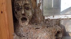 Kôlňu otvorili po dvoch rokoch a našli tvár ako z hororu