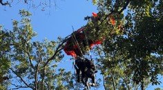 Tandemový zoskok sa skončil tragédiou. Inštruktor sa oddelil od klienta a zomrel po páde do lesa
