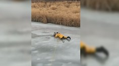 VIDEO: Obetavý hasič sa na tenkom ľade pokúšal zachrániť topiaceho sa psa