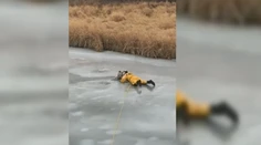 VIDEO: Obetavý hasič sa na tenkom ľade pokúšal zachrániť topiaceho sa psa