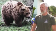 Koniec problémového medveďa na Liptove. Šelmu, ktorá napadla muža pred domom, usmrtili