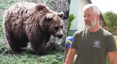 Koniec problémového medveďa na Liptove. Šelmu, ktorá napadla muža pred domom, eliminovali