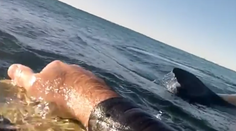 Muž zbadal plutvu a myslel si, že je s ním koniec. Potom sa schuti zasmial