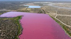 VIDEO: Dve jazerá v Argentíne sa nečakane zafarbili naružovo. Aktivista odhalil možnú príčinu